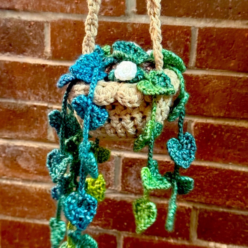 ✨🌿Elegant Crochet Hanging Monstera Leaves and Mini Roses Medium Planter🌿✨